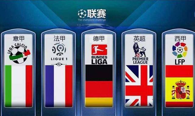 了冰球的行