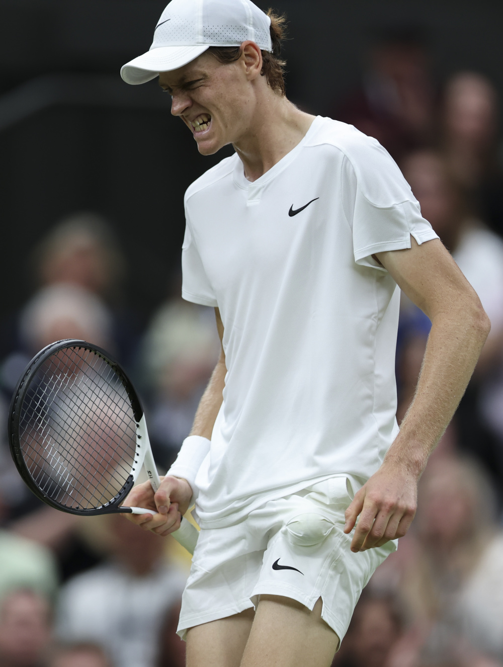 健的表现力 健的表现力